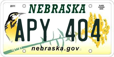 NE license plate APY404