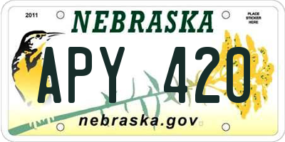 NE license plate APY420