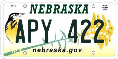 NE license plate APY422