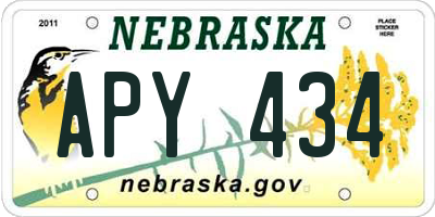 NE license plate APY434