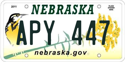 NE license plate APY447