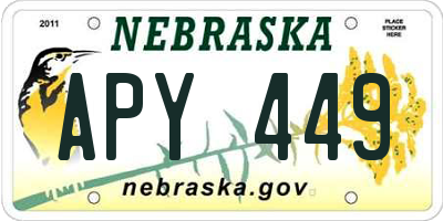 NE license plate APY449