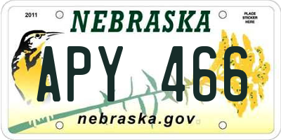 NE license plate APY466
