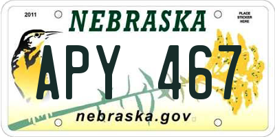 NE license plate APY467