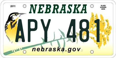 NE license plate APY481