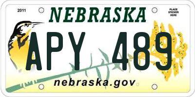 NE license plate APY489