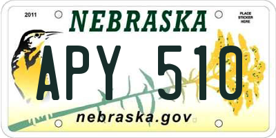 NE license plate APY510
