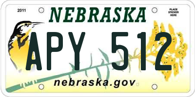 NE license plate APY512