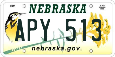 NE license plate APY513