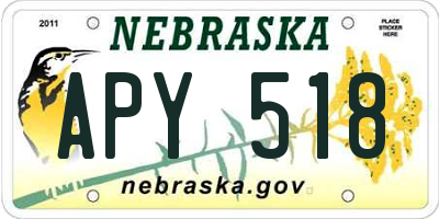 NE license plate APY518