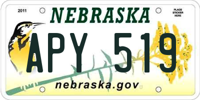 NE license plate APY519