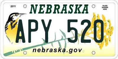 NE license plate APY520