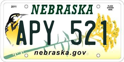 NE license plate APY521