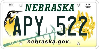 NE license plate APY522