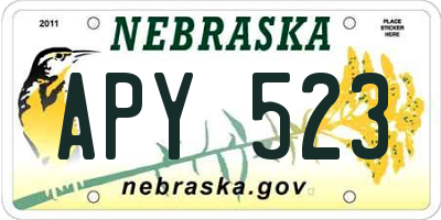 NE license plate APY523