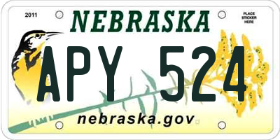 NE license plate APY524