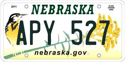 NE license plate APY527