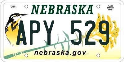 NE license plate APY529