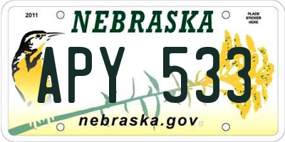 NE license plate APY533