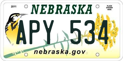 NE license plate APY534