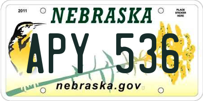 NE license plate APY536