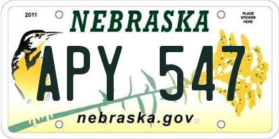 NE license plate APY547
