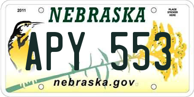 NE license plate APY553