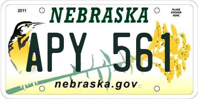 NE license plate APY561