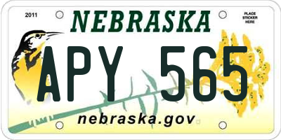 NE license plate APY565