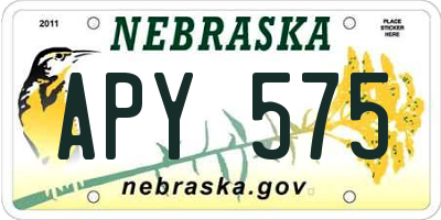 NE license plate APY575