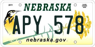 NE license plate APY578