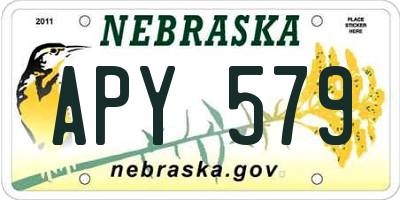 NE license plate APY579