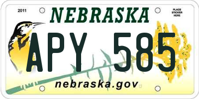 NE license plate APY585