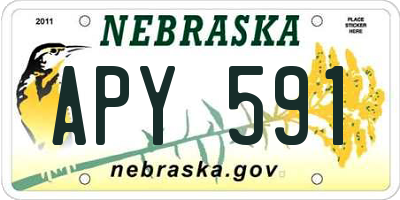 NE license plate APY591
