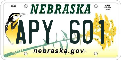 NE license plate APY601