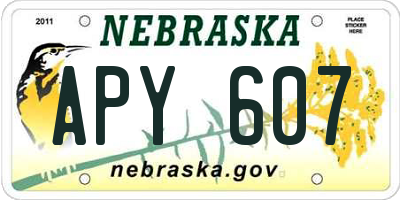 NE license plate APY607