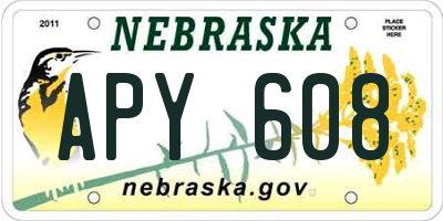 NE license plate APY608