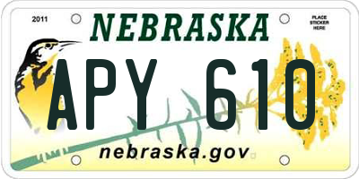 NE license plate APY610