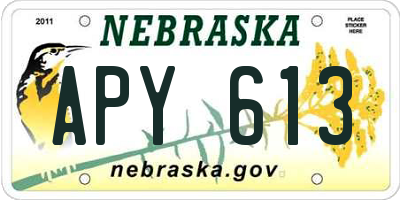 NE license plate APY613
