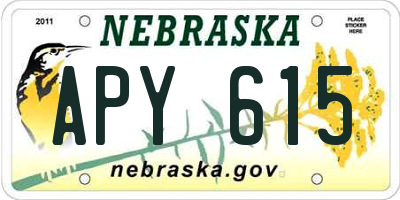 NE license plate APY615