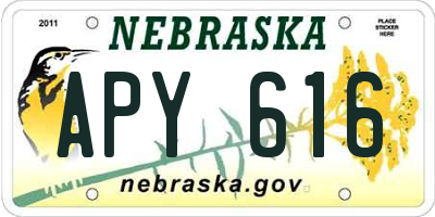 NE license plate APY616