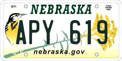 NE license plate APY619