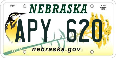 NE license plate APY620