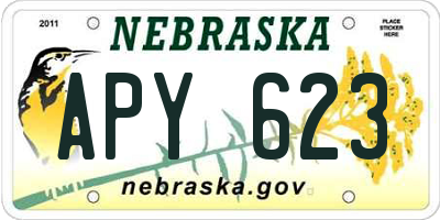 NE license plate APY623
