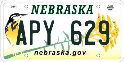 NE license plate APY629
