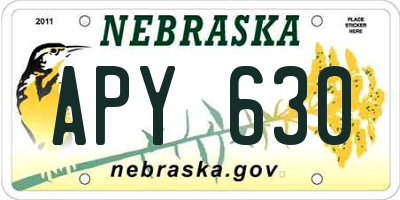 NE license plate APY630