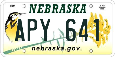 NE license plate APY641