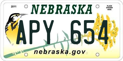 NE license plate APY654