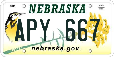 NE license plate APY667