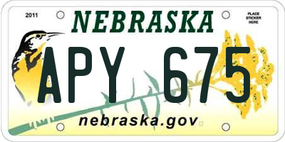NE license plate APY675